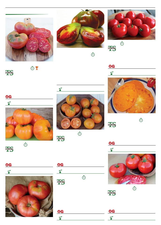 Flyer page 96