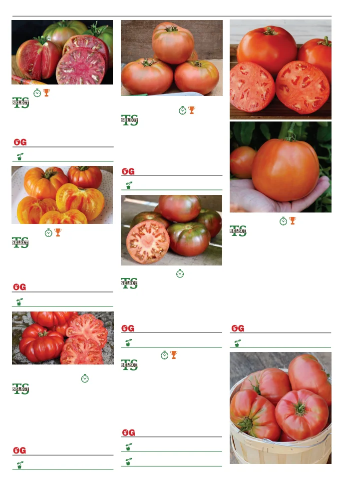 Flyer page 97