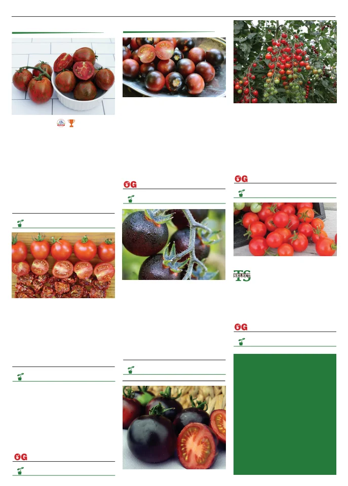Flyer page 98