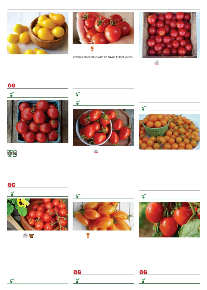 Flyer page 99