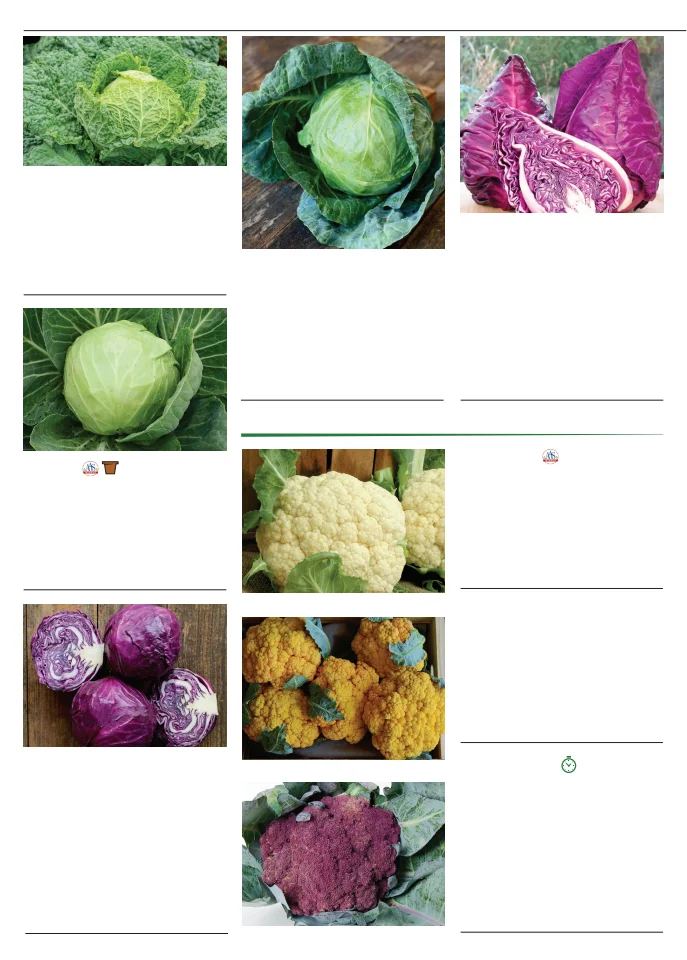 Flyer page 12