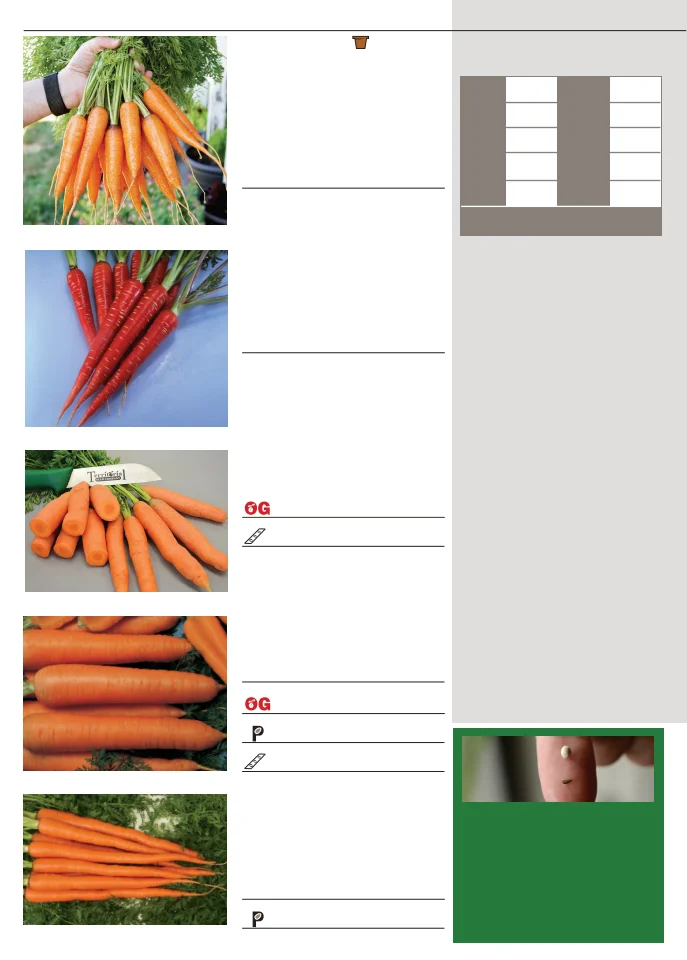 Flyer page 14