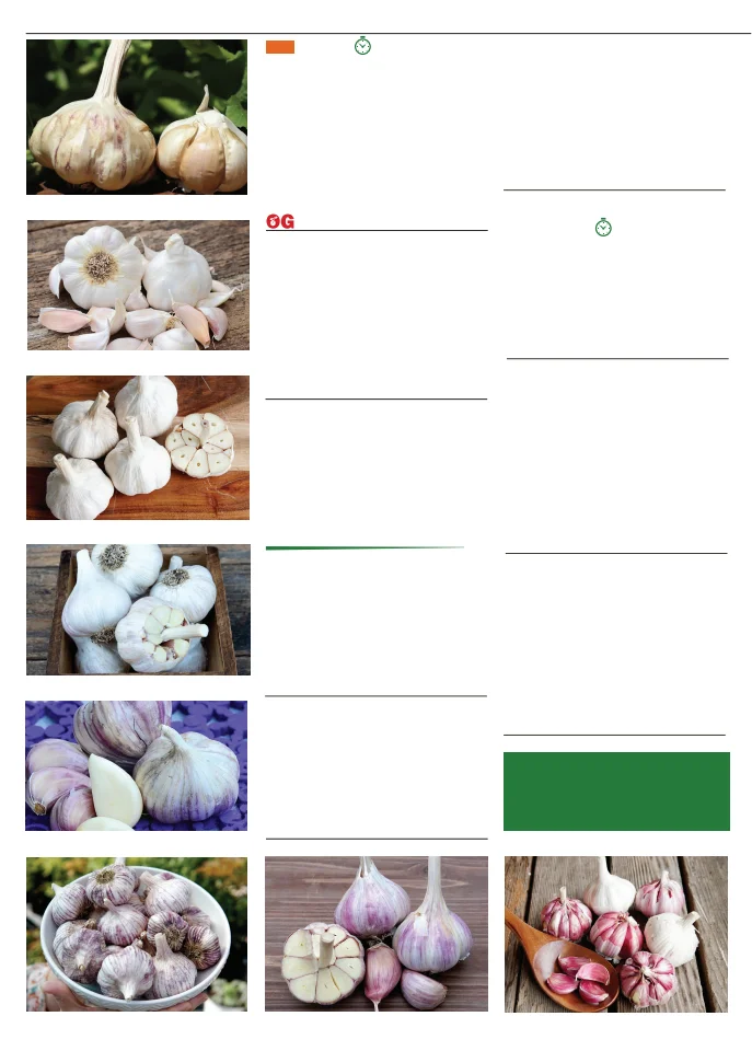 Flyer page 18