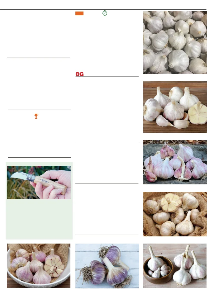 Flyer page 19
