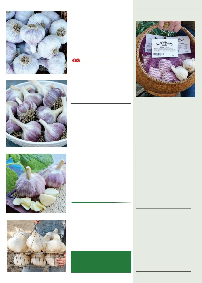 Flyer page 20