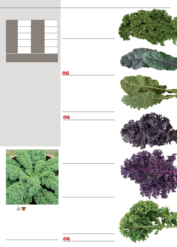 Flyer page 23
