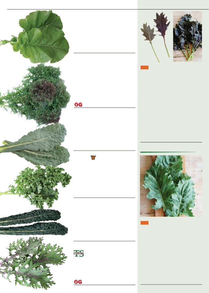 Flyer page 24