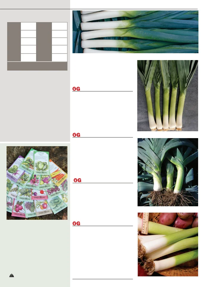 Flyer page 25
