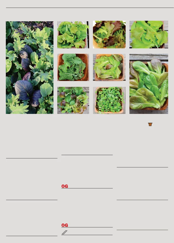 Flyer page 28