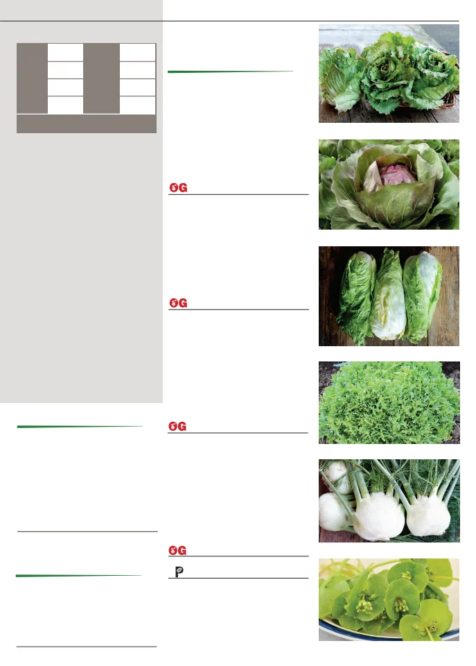 Flyer page 29