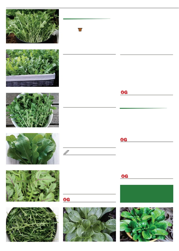 Flyer page 30