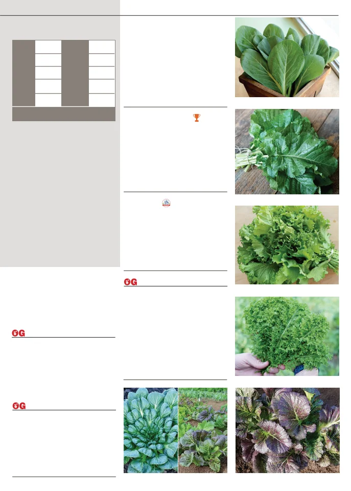 Flyer page 31