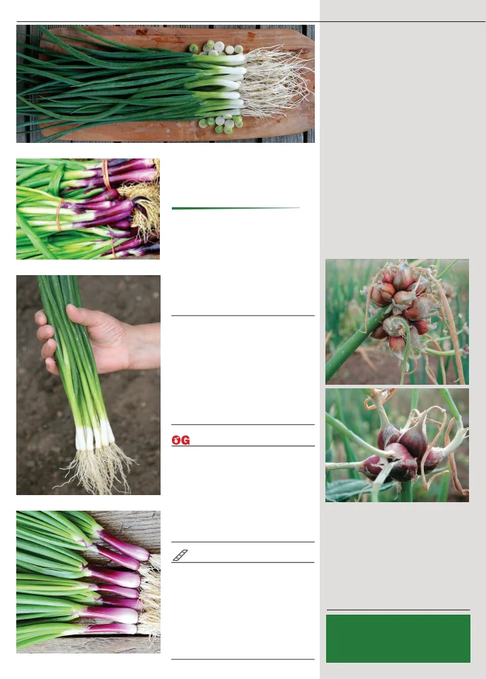 Flyer page 34