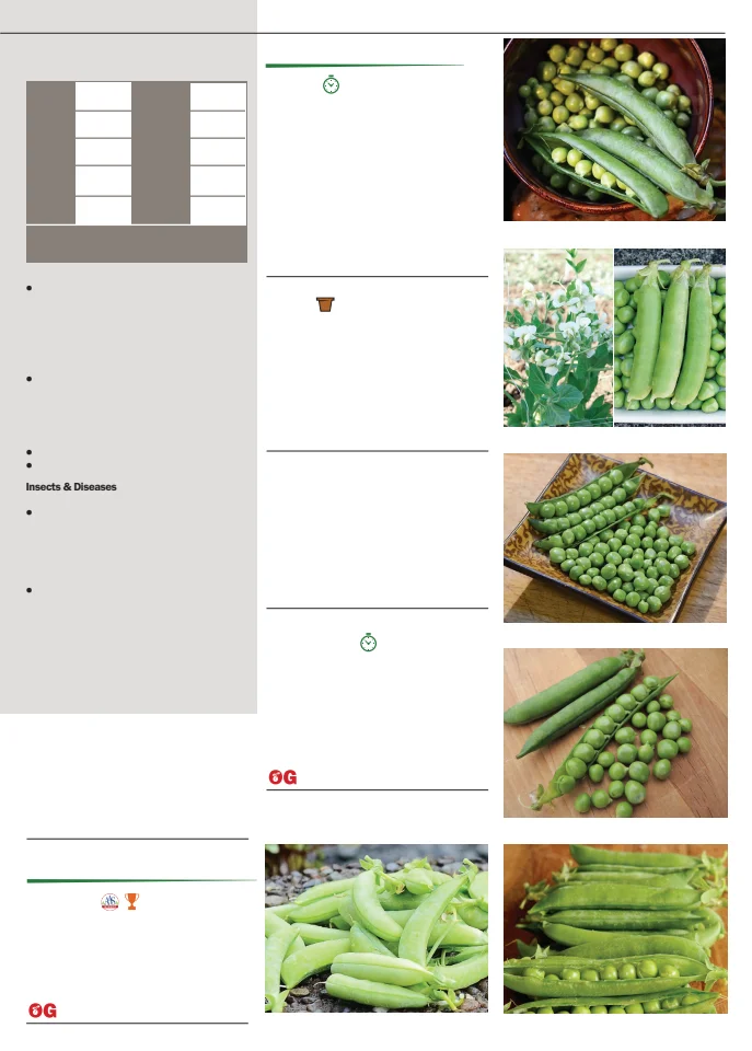 Flyer page 35