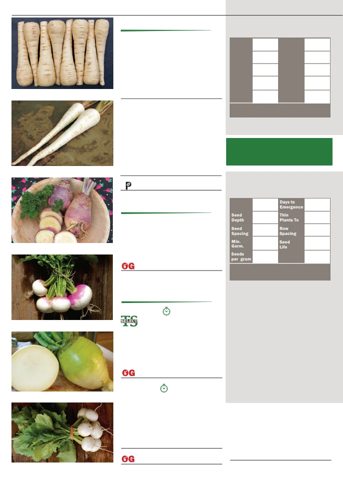 Flyer page 38