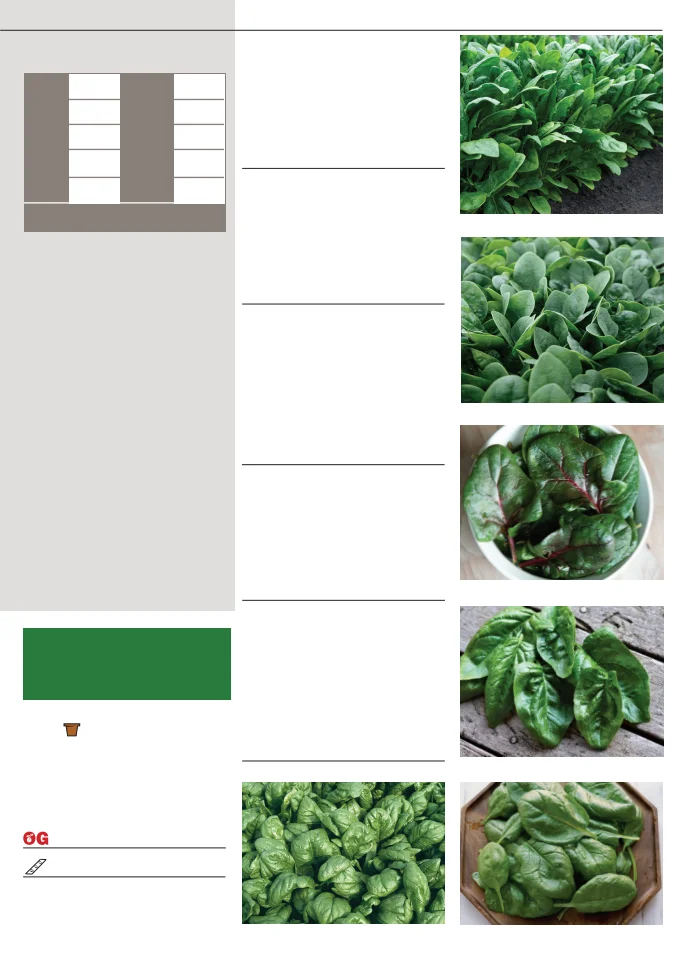 Flyer page 39