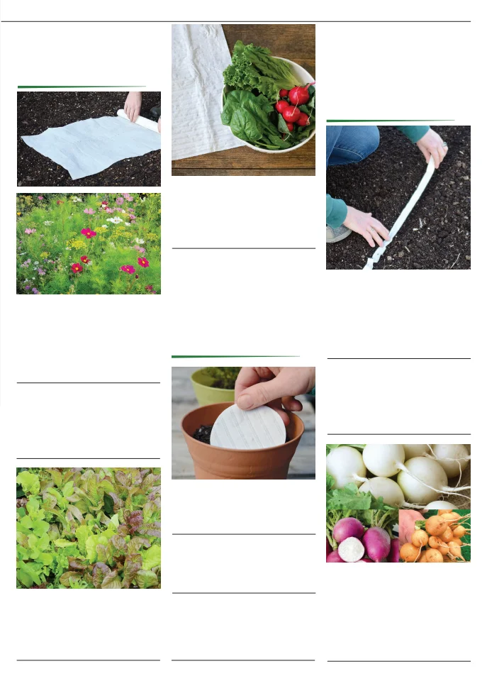 Flyer page 41