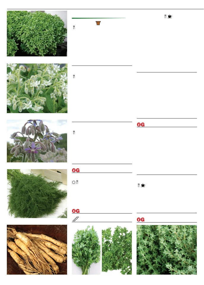 Flyer page 44