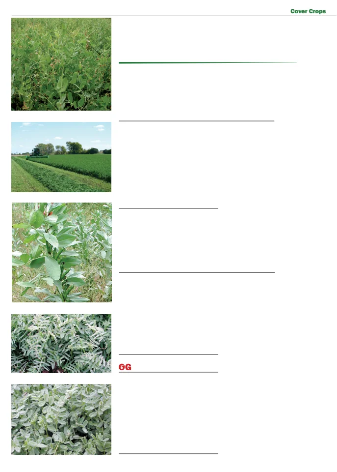 Flyer page 48