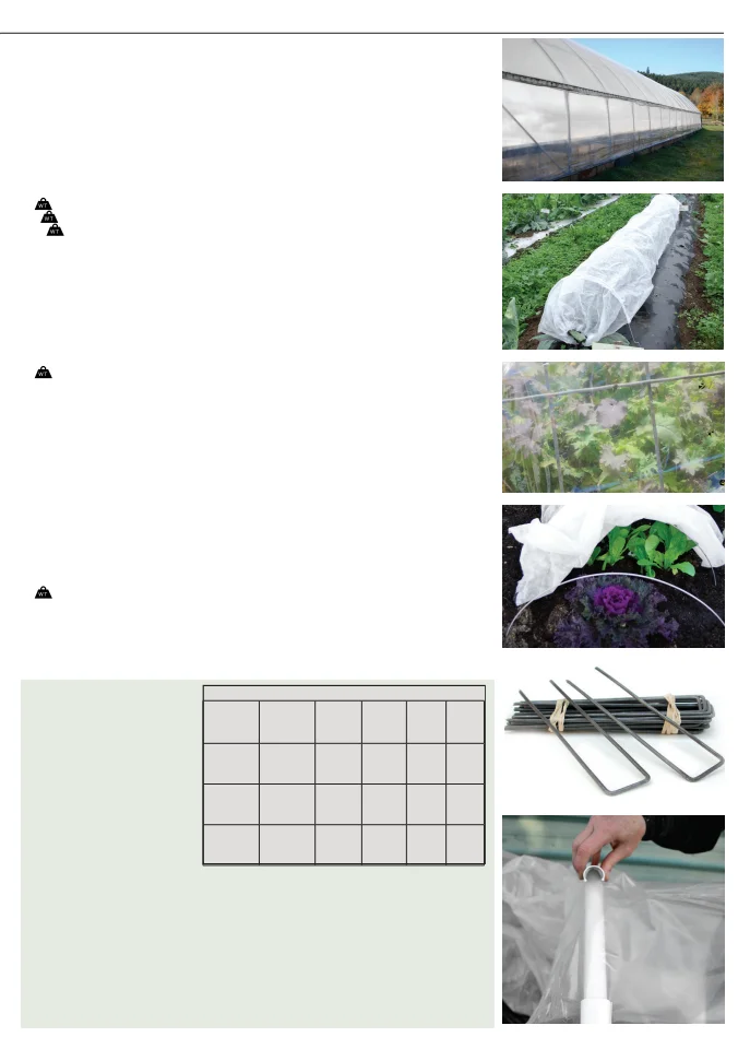 Flyer page 51