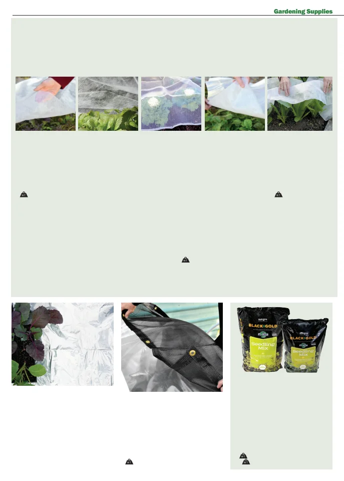 Flyer page 52