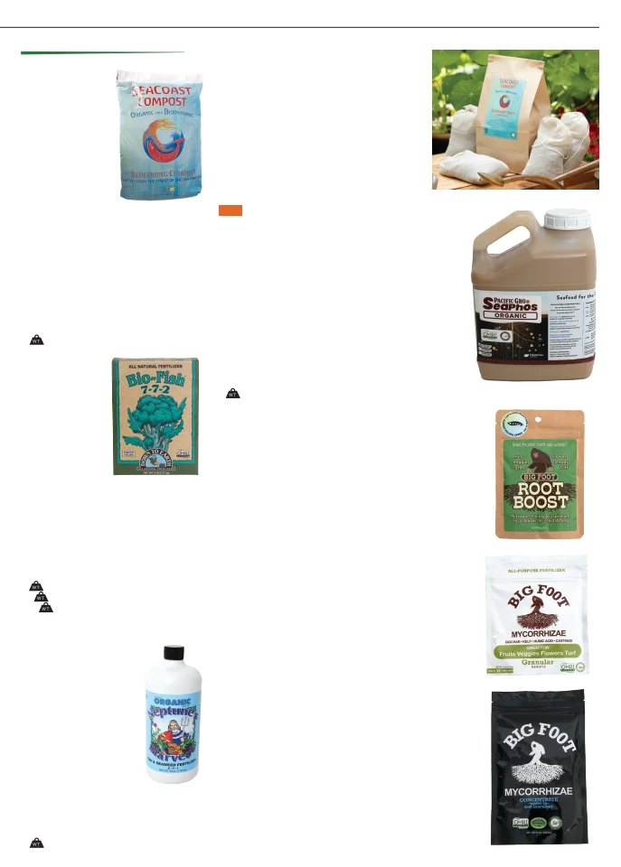 Flyer page 53