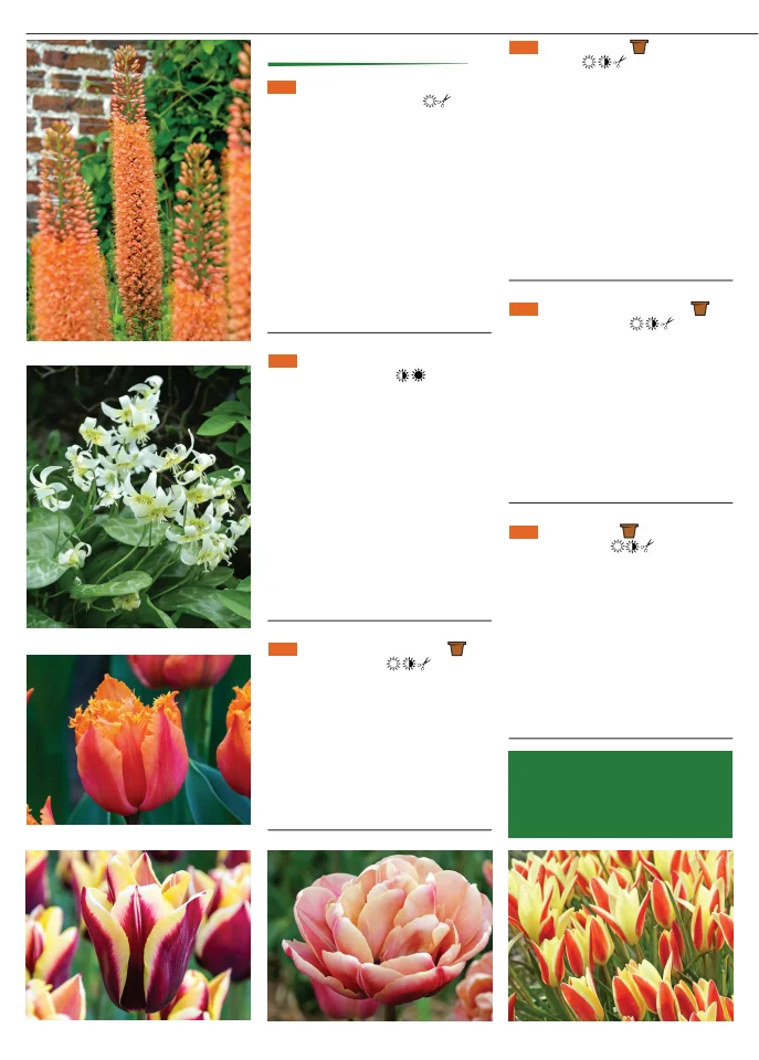 Flyer page 58