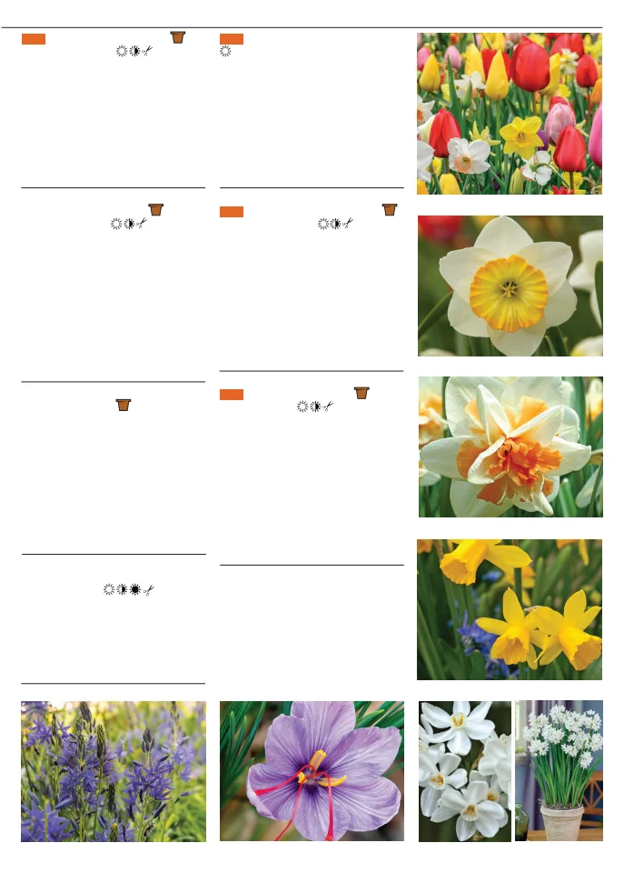 Flyer page 59