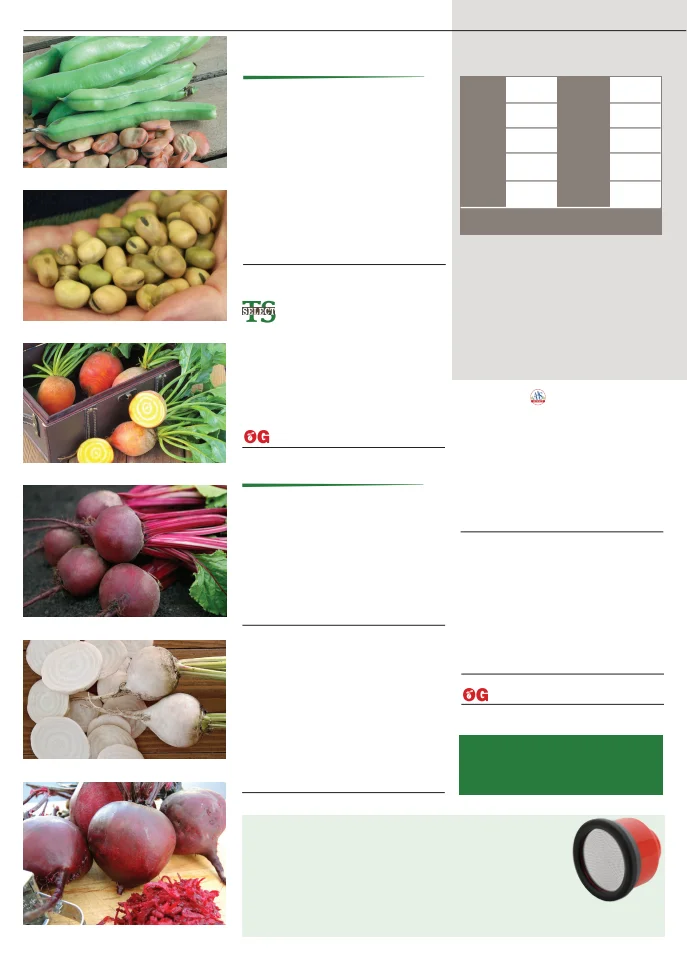 Flyer page 6