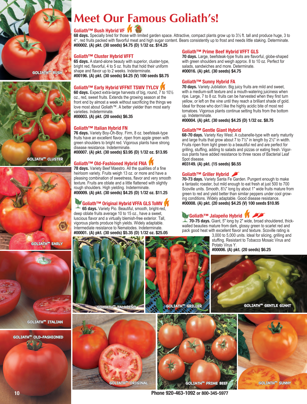 Flyer page 10