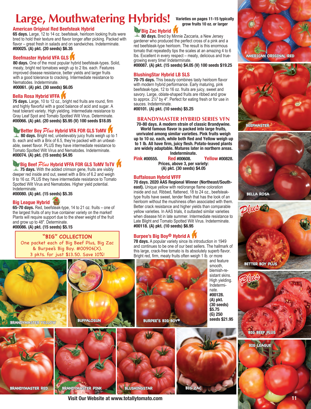 Flyer page 11