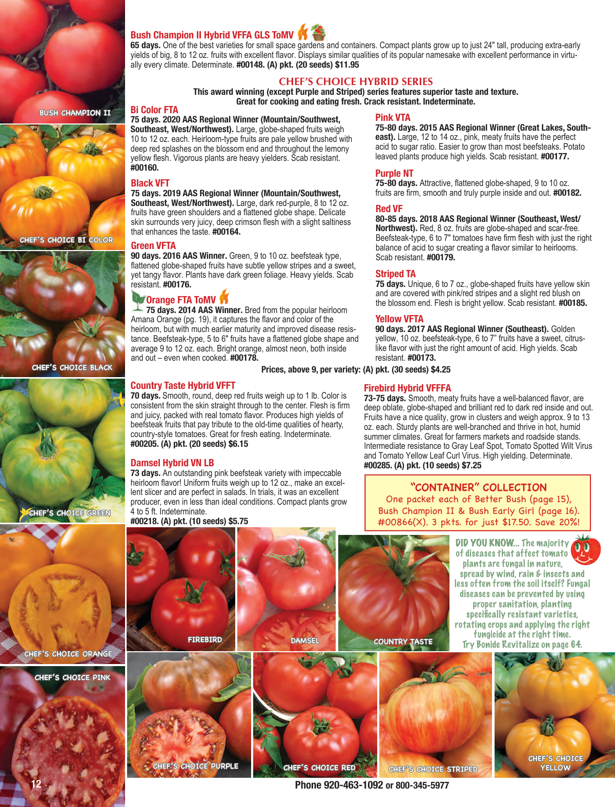 Flyer page 12