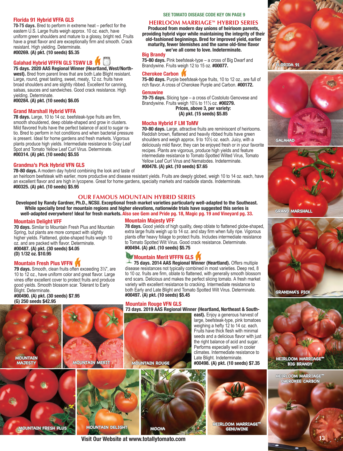 Flyer page 13