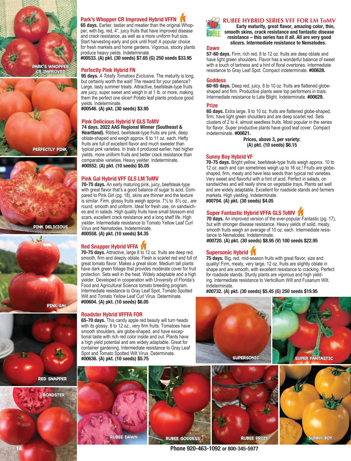 Flyer page 14