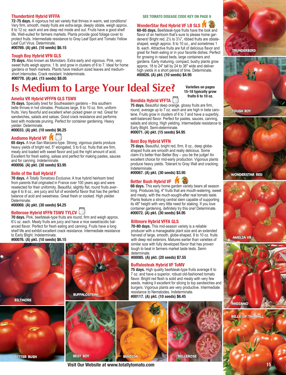 Flyer page 15