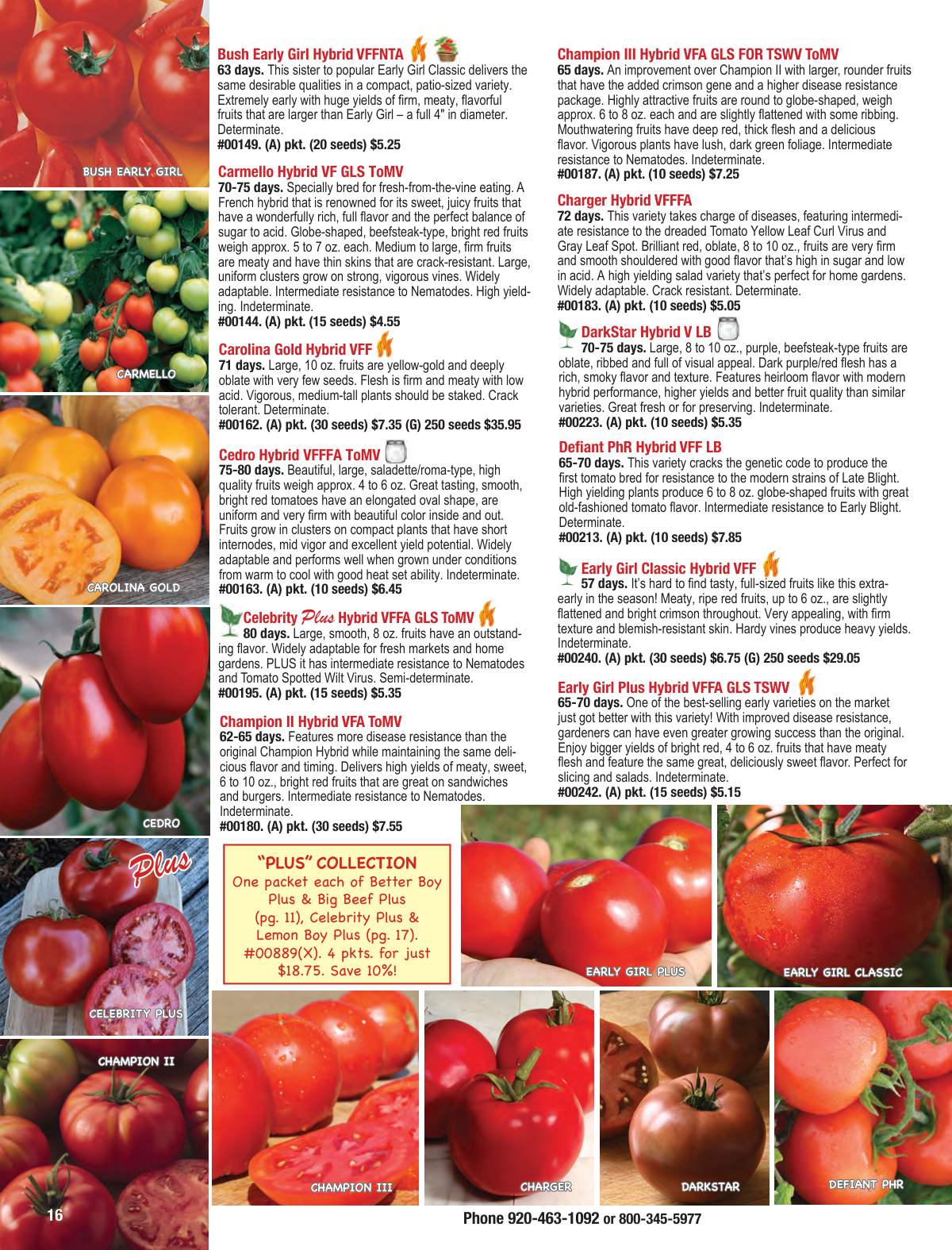 Flyer page 16