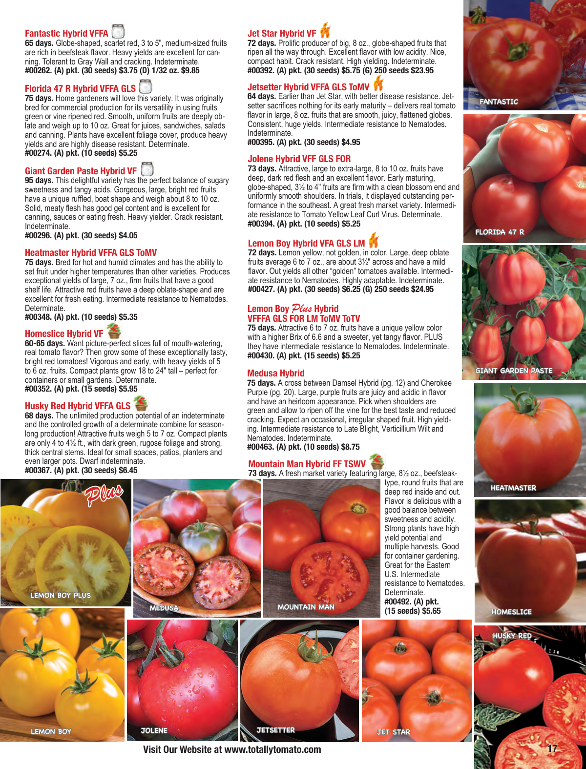 Flyer page 17