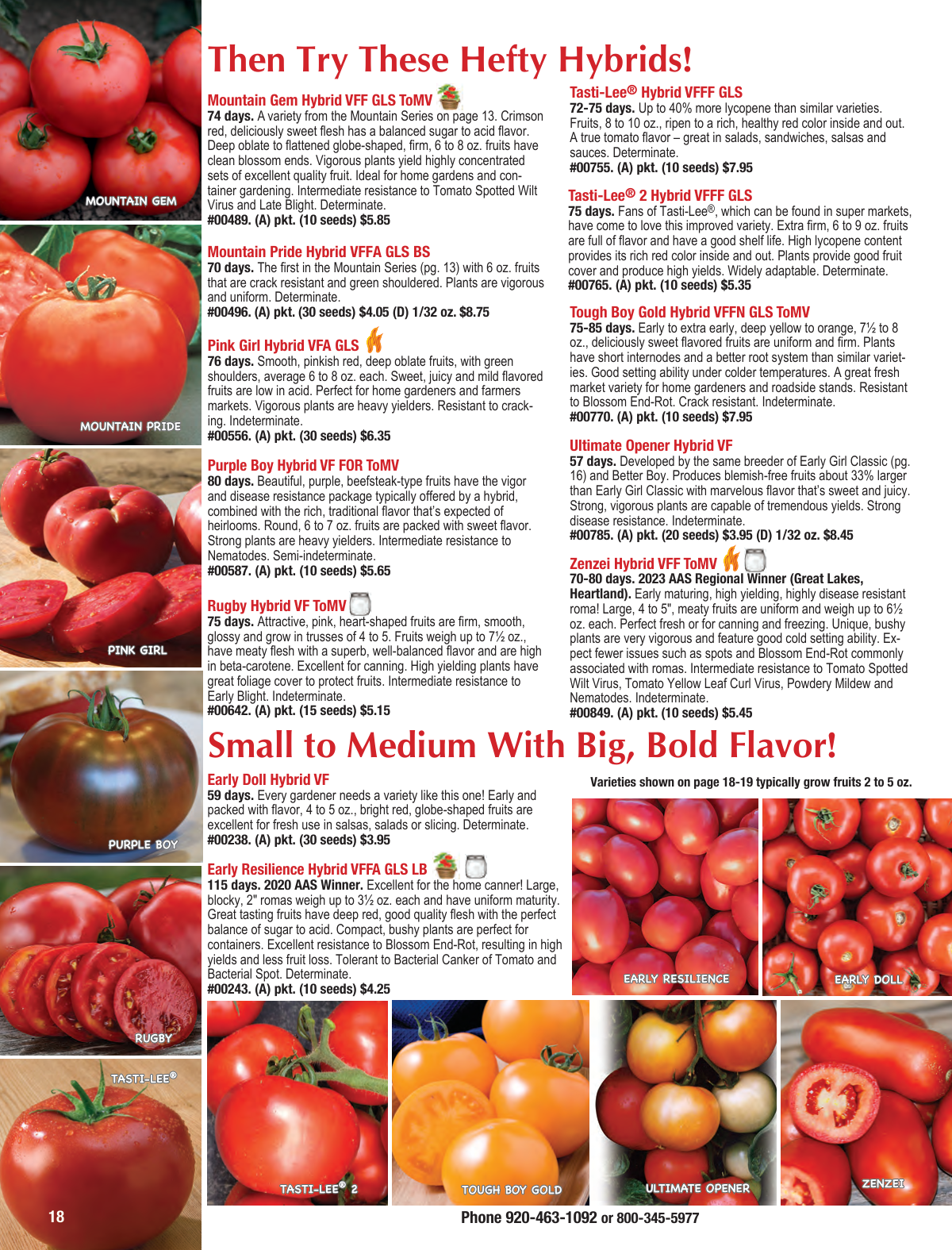 Flyer page 18