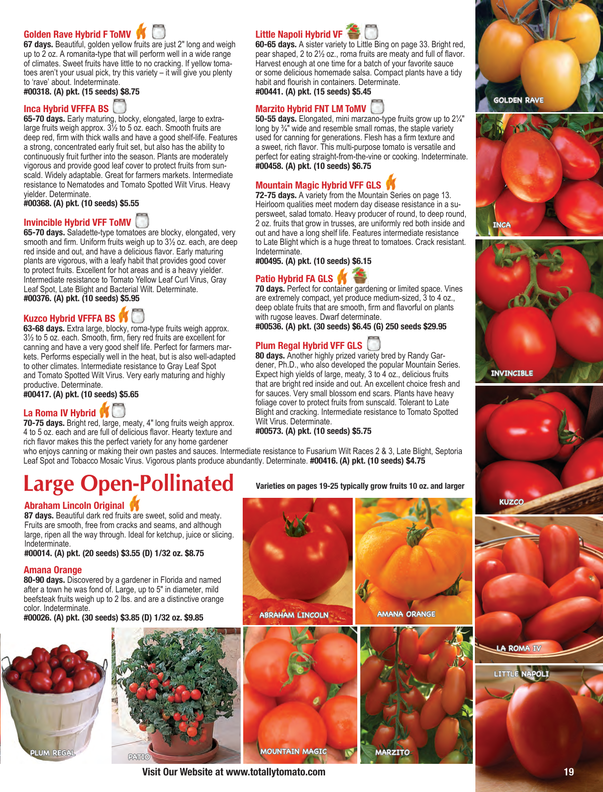 Flyer page 19