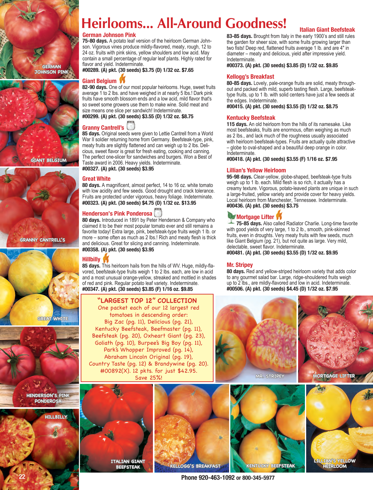 Flyer page 22