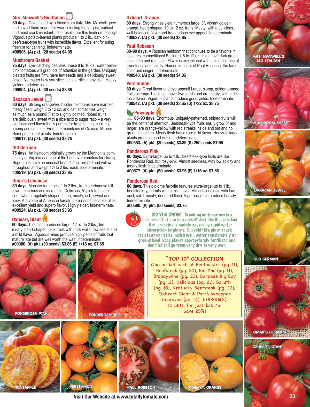 Flyer page 23