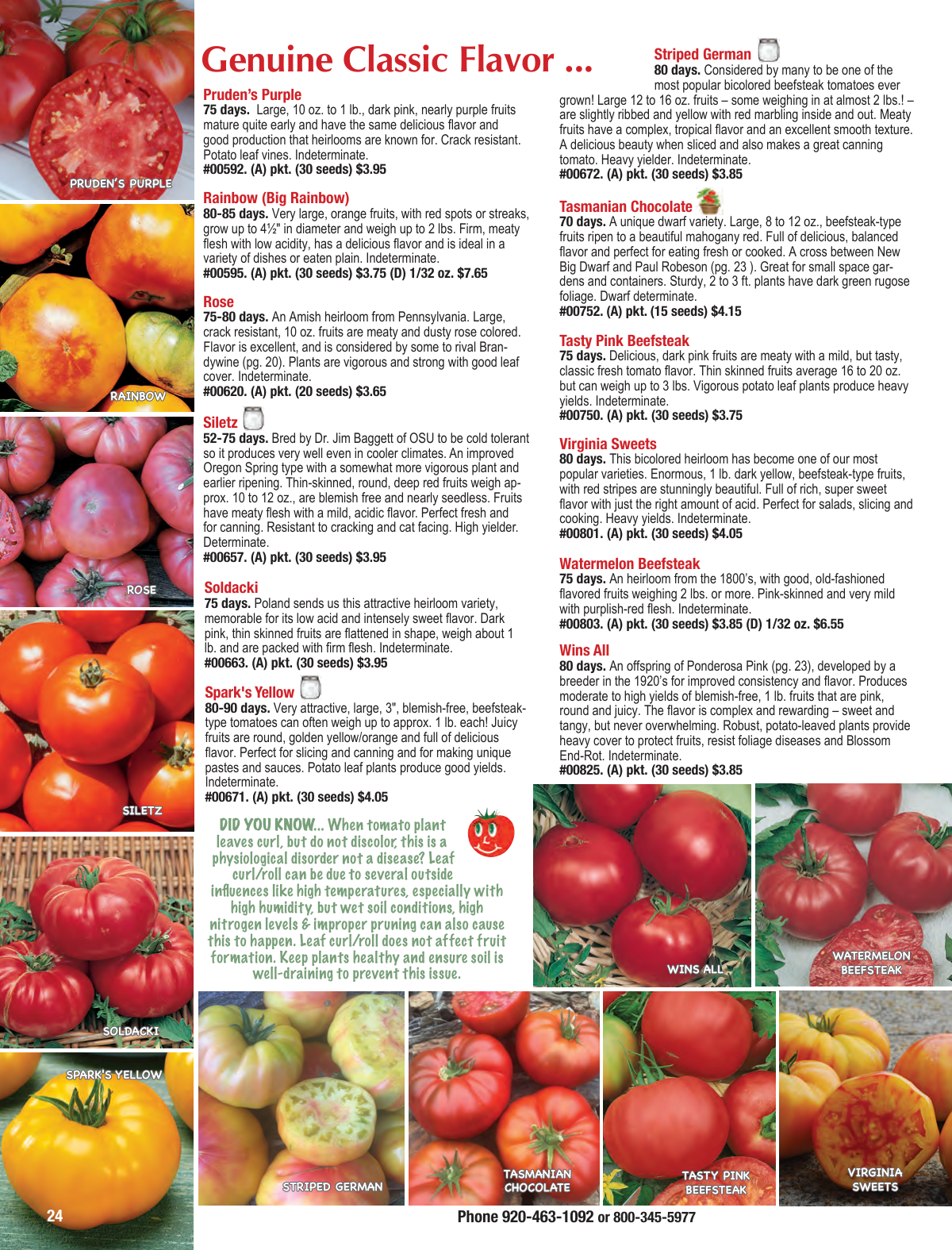 Flyer page 24