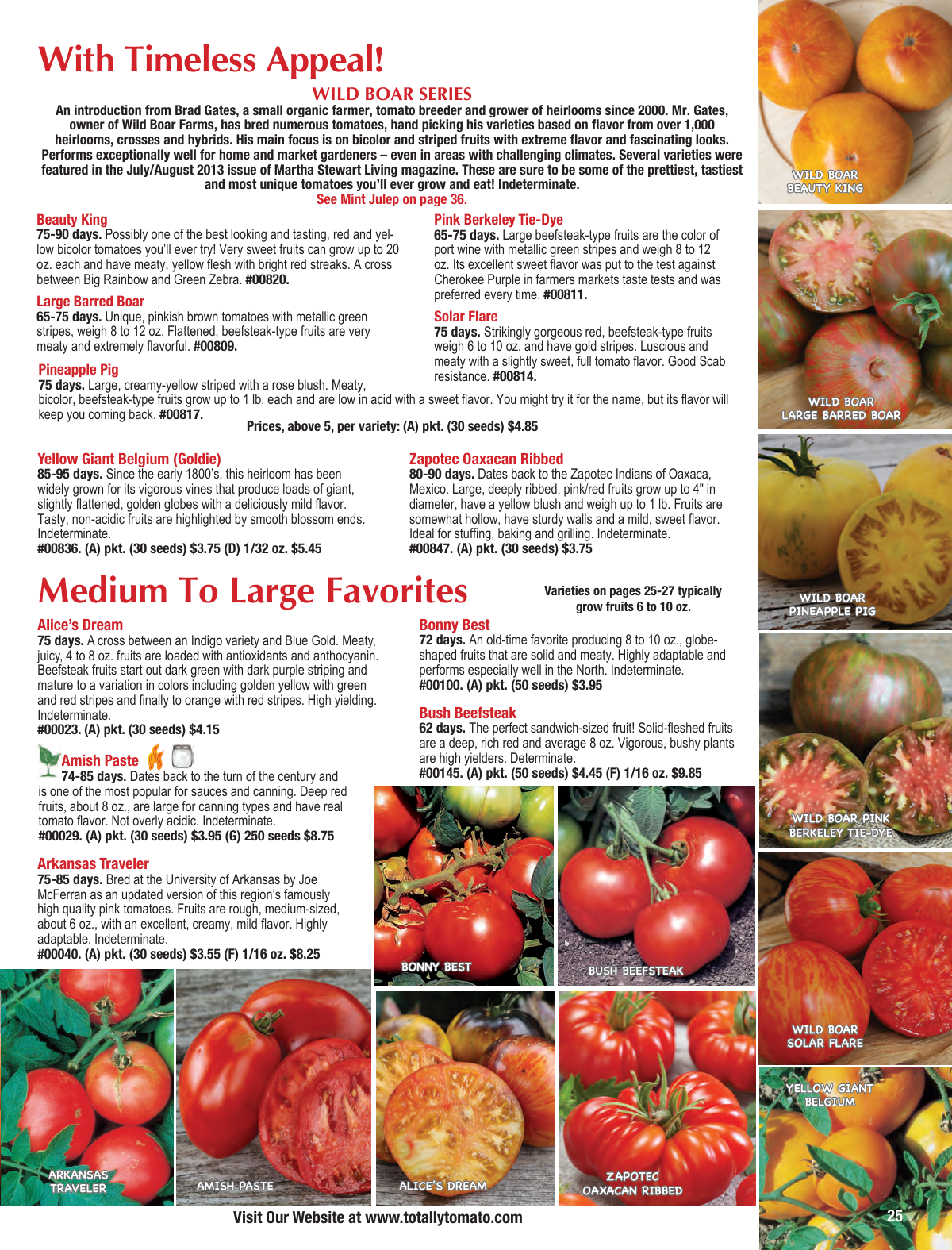 Flyer page 25