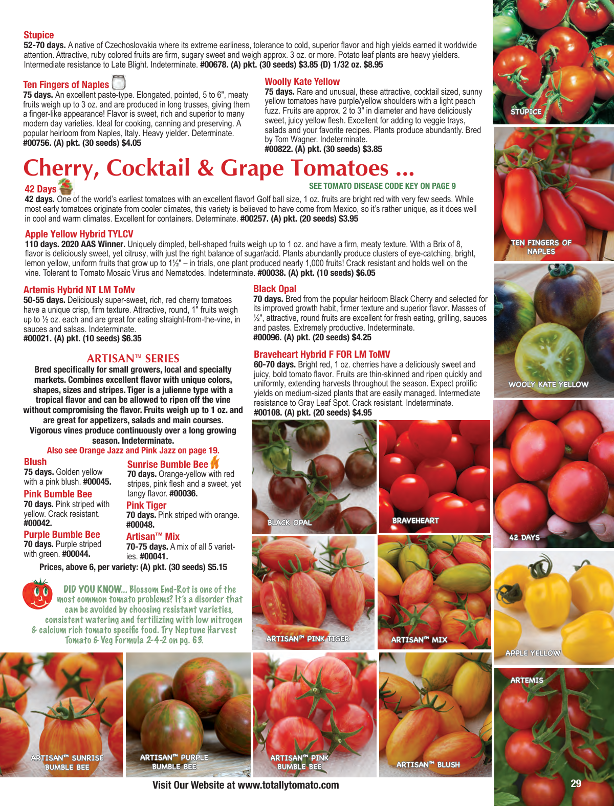 Flyer page 29