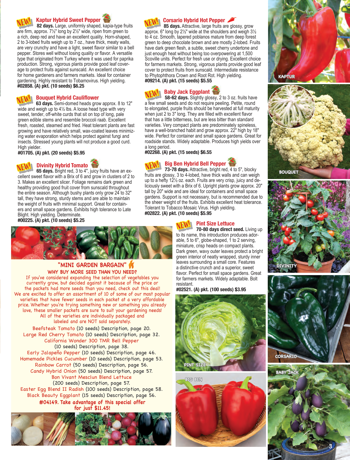 Flyer page 3