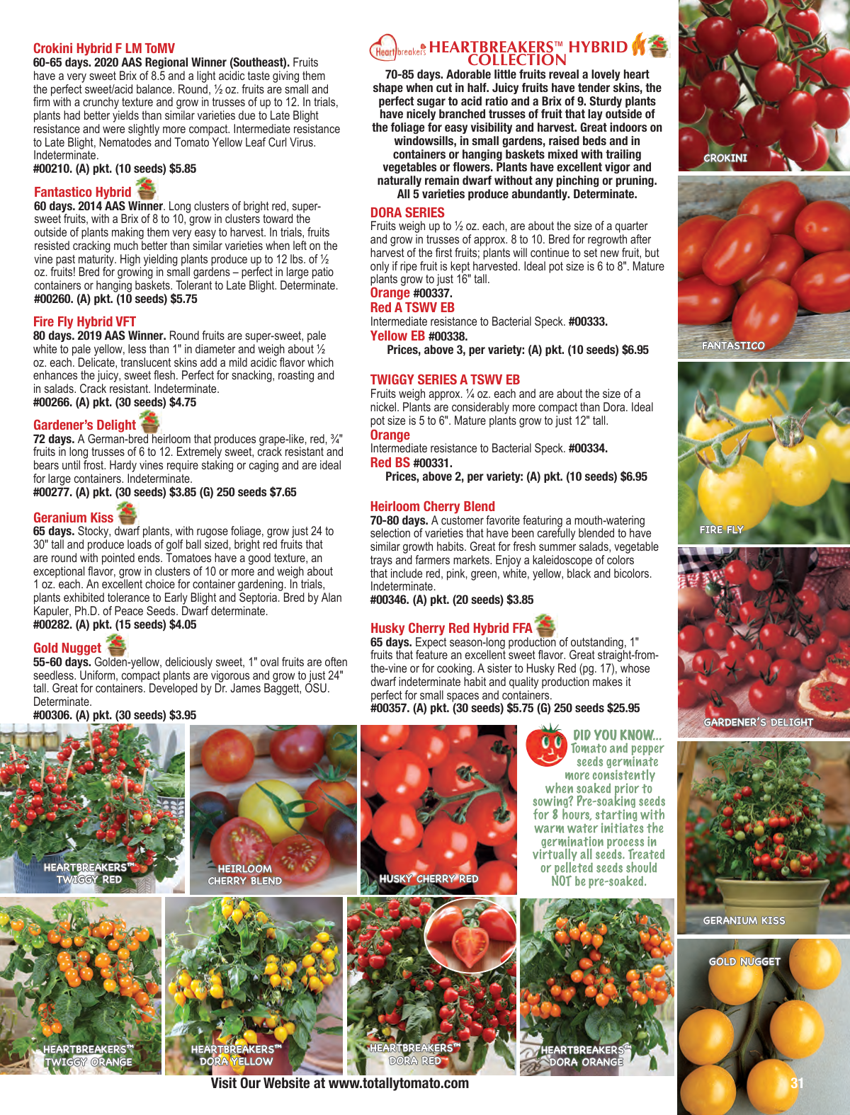 Flyer page 31