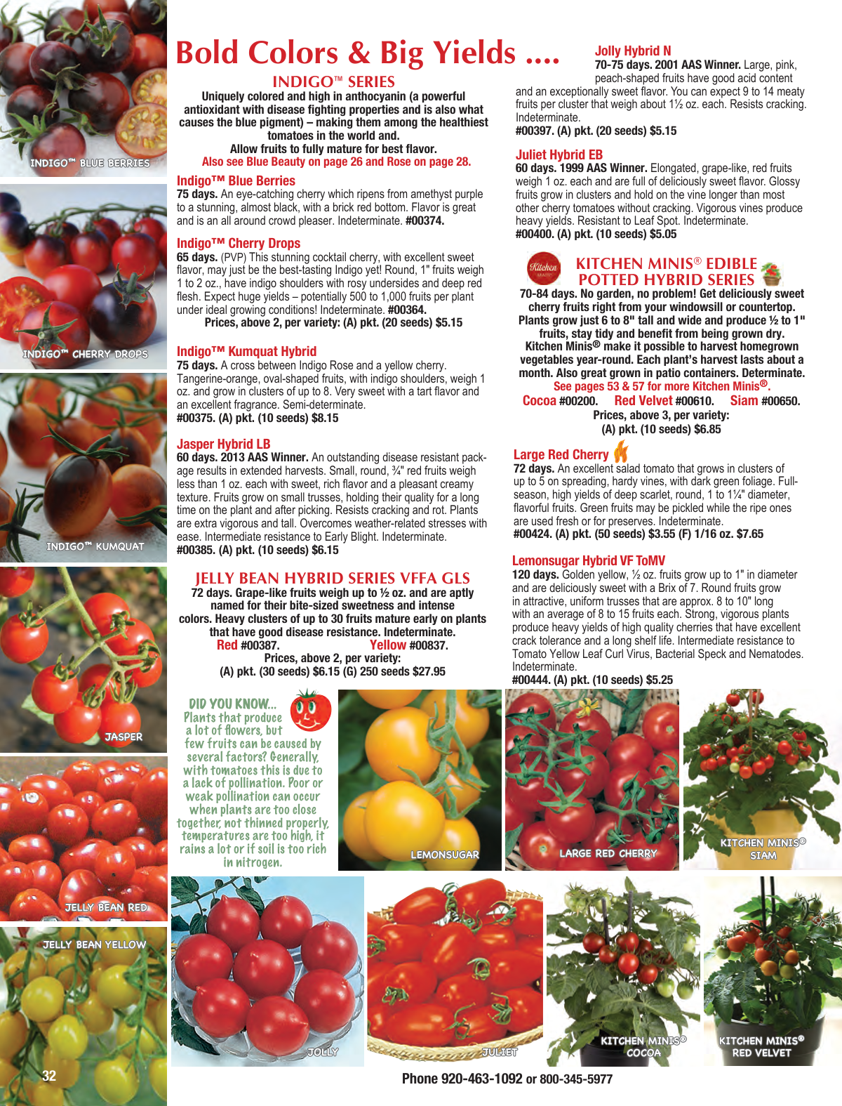 Flyer page 32