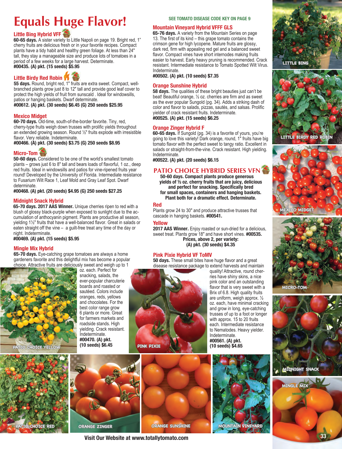 Flyer page 33