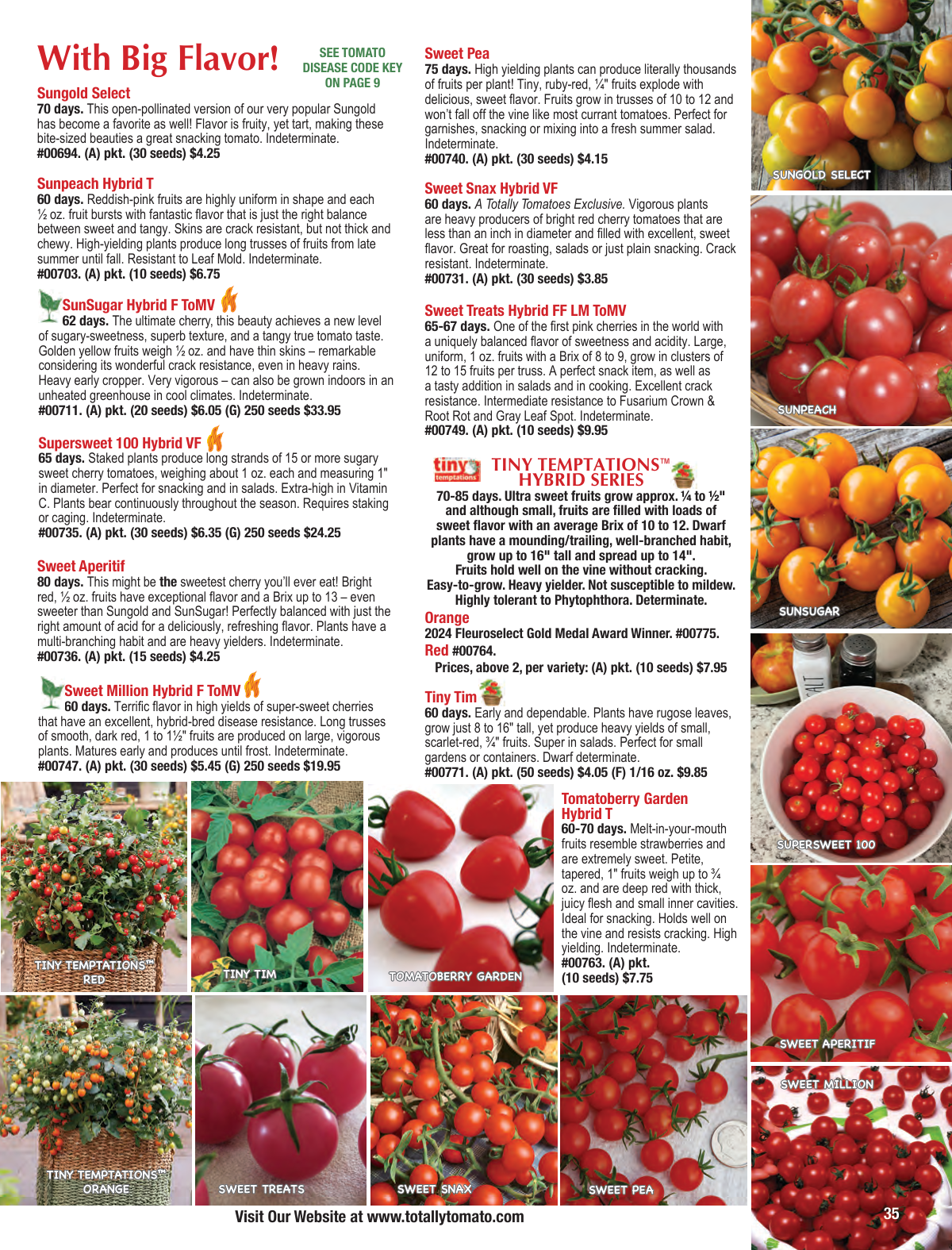 Flyer page 35