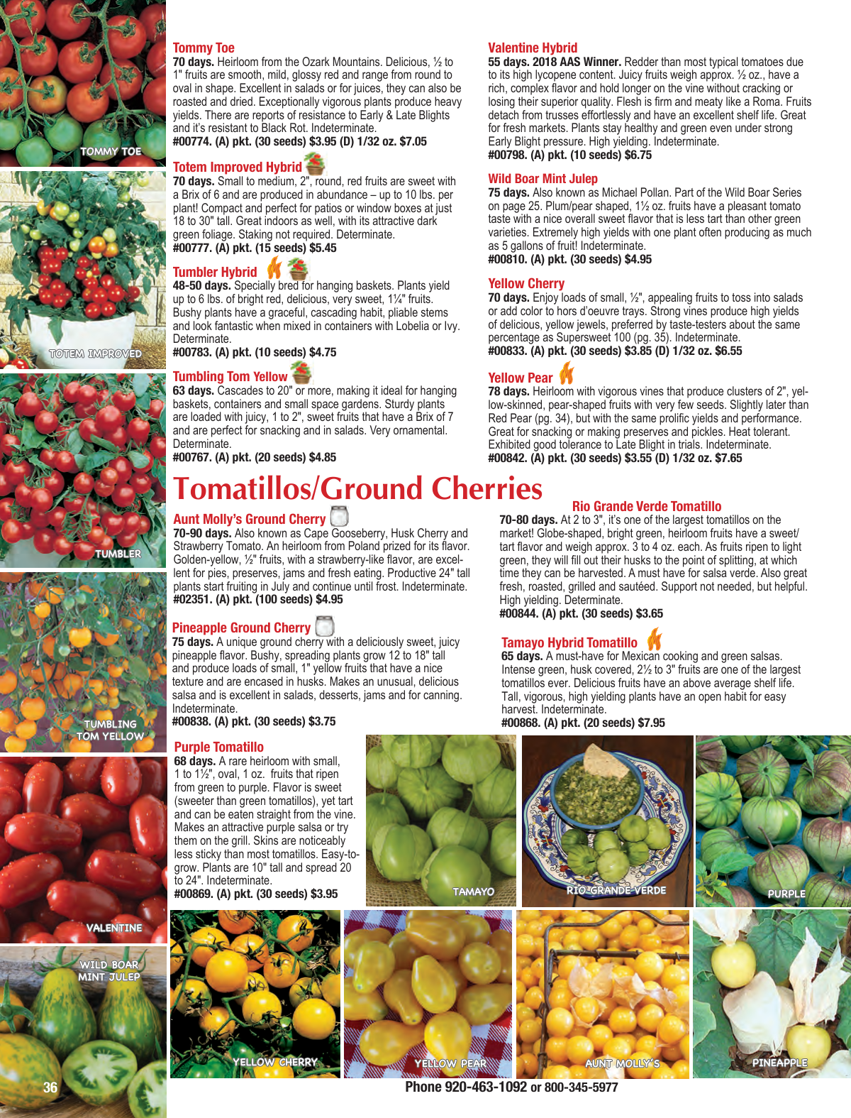 Flyer page 36